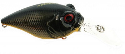 MR-X Griffon color gg kurodeme