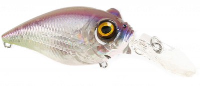 MR-X Griffon color gp skeleton tenn