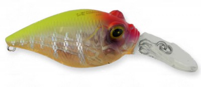 MR-X Griffon color hachiro reaction