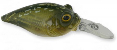 MR-X Griffon color ito gori