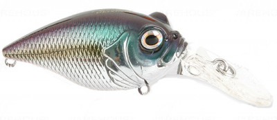 MR-X Griffon color m moroko