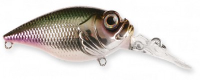 MR-X Griffon color m tng