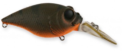 MR-X Griffon color mc