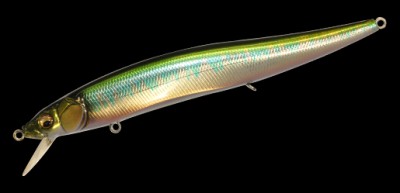 Oneten Magnum (F) color wagin oikawa (m)