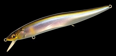 Oneten Magnum (F) color wagin setsuki ayu