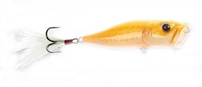 Pop-X color albino raigyo