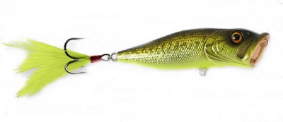 Pop-X color gg bass cb