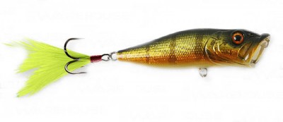 Pop-X color gg peacock