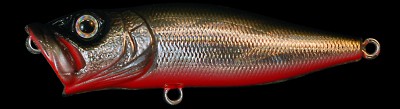 Pop-X color gg rb shad