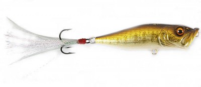 Pop-X color gg smallmouth bass