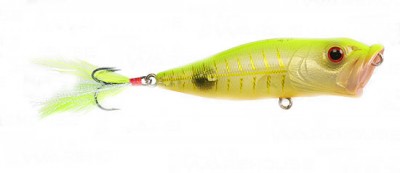 Pop-X color hot chart bone