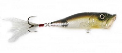 Pop-X color killer kawaguchi