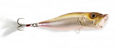 Pop-X color m wakasagi