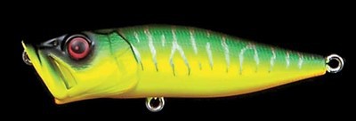 Pop-X color mat tiger