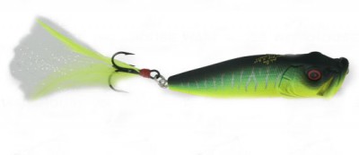 Pop-X color matte tiger