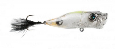 Pop-X color rising sun 2