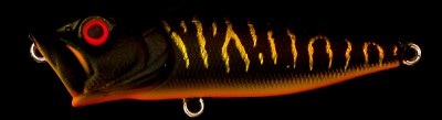 Pop-X color sibukin tiger