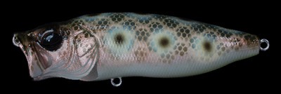 Pop Max color genroku moth la