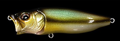 Pop Max color hakusei glitter honmoroko