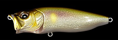 Pop Max color hakusei glitter setsuki ayu