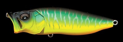 Pop Max color mat tiger