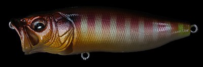 Pop Max color pm gill