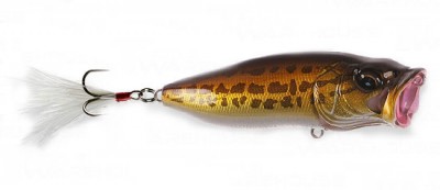 Pop Max color pm raigyo