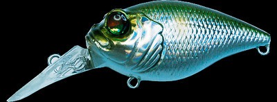 Quiet Griffon MR-X color gg ayu