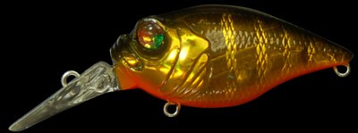 Quiet Griffon MR-X color kinkuro zebra