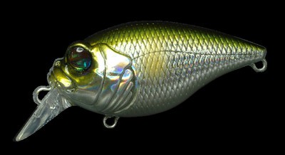 Quiet Griffon SR-X color gg ayu