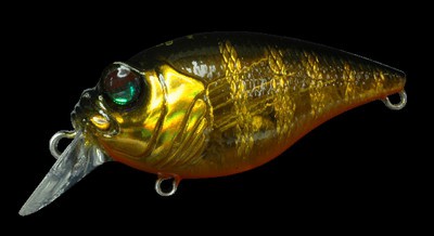 Quiet Griffon SR-X color kinkuro zebla