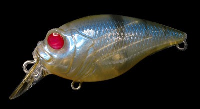 Quiet Griffon SR-X color red eye glass shrimp