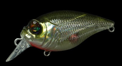 Quiet Griffon SR-X color st shad