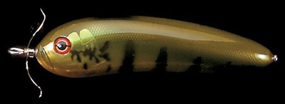 Scream-X color peacock