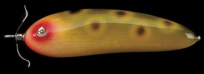 Scream-X color scale moth la