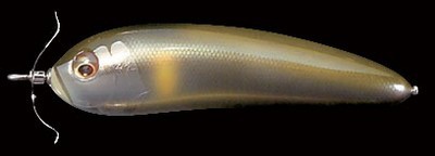 Scream-X Orca color ayu