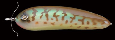 Scream-X Orca color blue coach