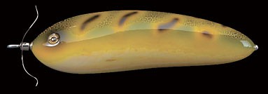 Scream-X Orca color cmf