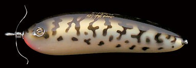 Scream-X Orca color coach dog