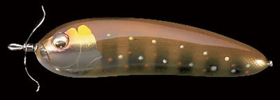 Scream-X Orca color iwana