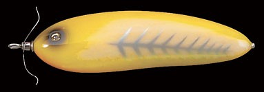 Scream-X Orca color modena bone