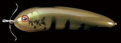 Scream-X Orca color peacock