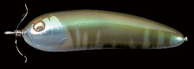 Scream-X Orca color sira hae