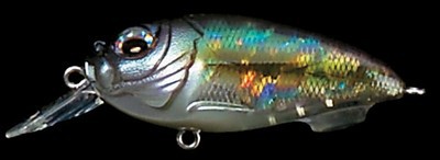 SR-X Cyclone color gs moroko