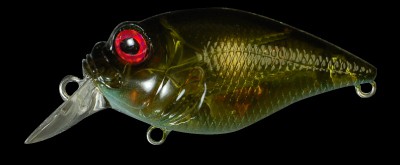 SR-X Griffon color avocado ayu