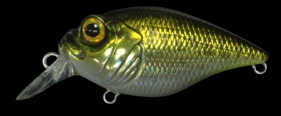 SR-X Griffon color gg bass