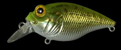 SR-X Griffon color gg chart back bass