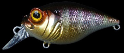 SR-X Griffon color gg gill