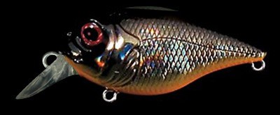 SR-X Griffon color gg kurodeme