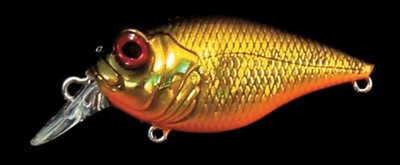 SR-X Griffon color gg megabass kinkuro